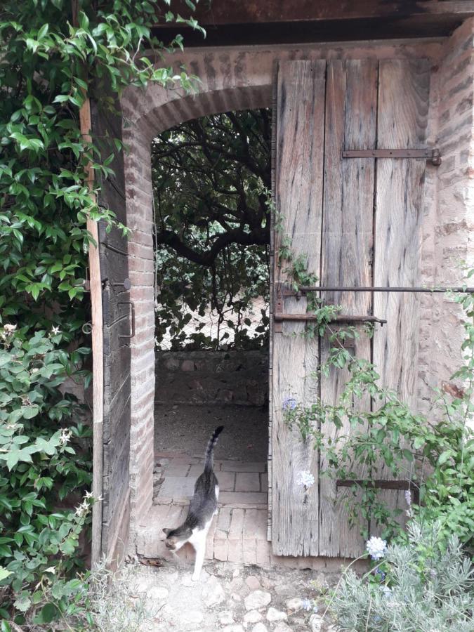 La Palombaia Spoleto Exterior foto