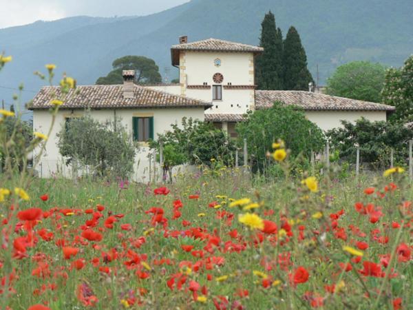 La Palombaia Spoleto Exterior foto