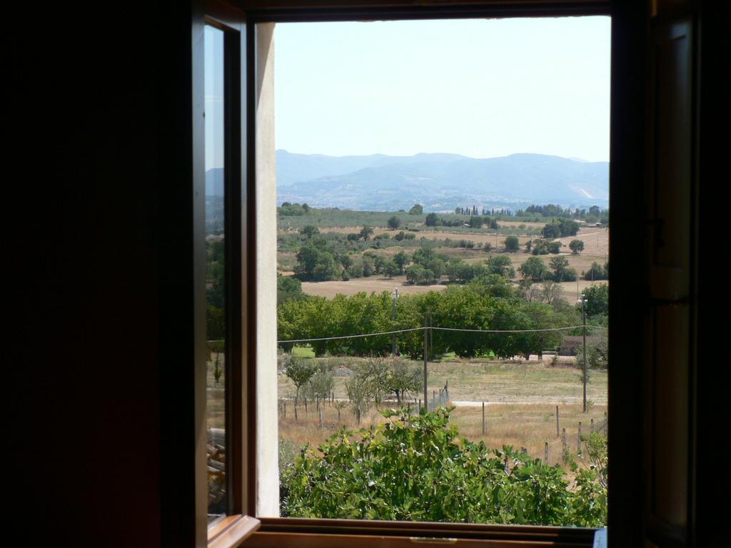La Palombaia Spoleto Exterior foto